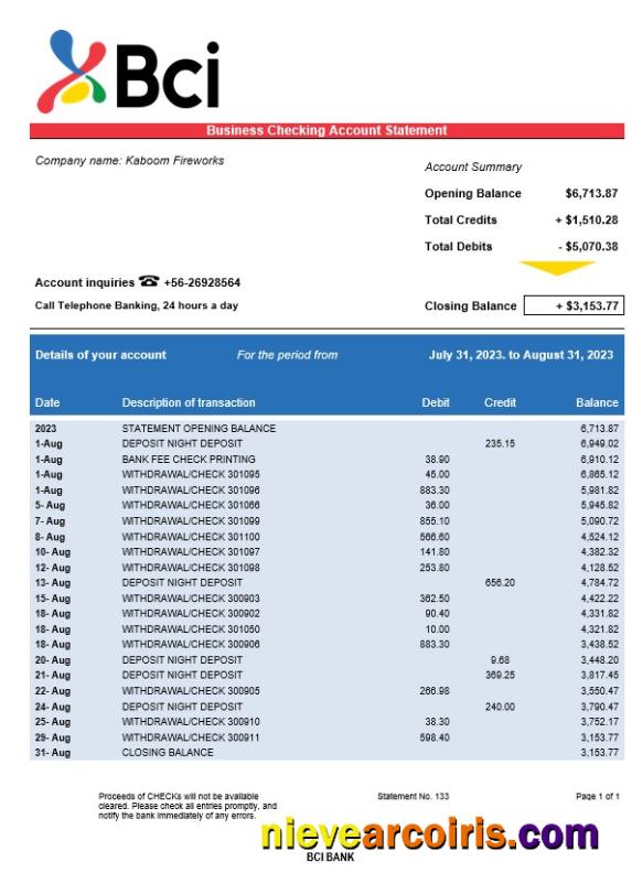 BCI Bank company account statement